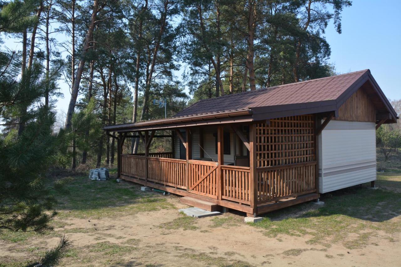 Domki Nad Jeziorem Dąbrówno Exteriör bild